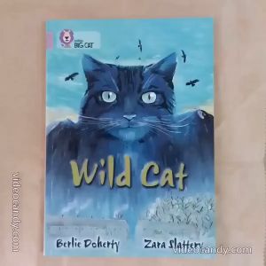 Wild Cat - English novel