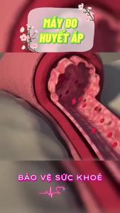 Máy Đo Huyết Áp Arm Style Đo Huyết Áp Nhịp Tim Điện Tử Tự Động Chuẩn Xác 100%