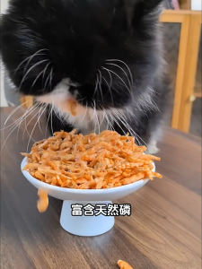 Food Freeze Dried Treats for Cat Antarctic Krill  Snacks 500G Healthy Savory Delicious