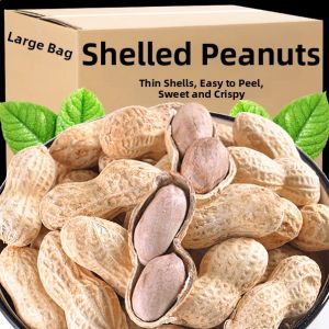 Multicolor Shell Peanuts Cooked Original Salty