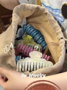 Large Double Row Tooth Shark Clip Hair Accessories Elegant French Style Updo Womens Fashion Hair Grips Fresh out New Model