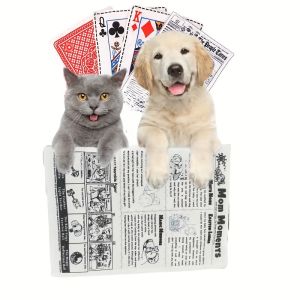 Newspaper Design Squeaky Plush Dog Toy - Durable and Chew-Resistant Suitable for Medium and Small Dogs Battery-Free Interactive Toy Safe and Chew-Resistant for All Breeds Pet Playtime |   Single-Color Dog Toy |   Safe Dog Toys Interactive Dog Toys