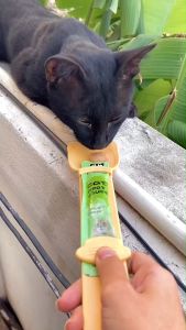 ช้อนบีบ ลายการ์ตูน ช้อนบีบเเมวเลีย แพ็ค 3 ชิ้น แบบพกพา ใช้ซ้ําได้ สําหรับสัตว์เลี้ยง สูง แมว