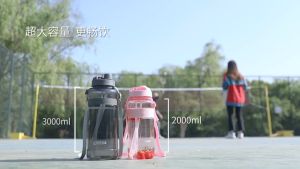 Aquaflask Sports Water Bottle: A Portable Leakproof Bottle with Straw & Shoulder Strap