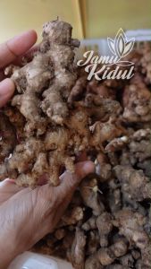 Jahe Emprit Segar 100 Gr Harga Murah