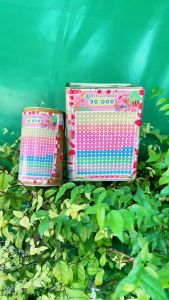 กระปุกออมสิน 1แถม1 รุ่นทึบสูง21cm + รุ่นกลมสูง 17cm พร้อมตารางออมและสติ๊กเกอร์ 1 หมื่น (มด)