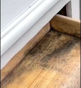 น้ำยากำจัดเชื้อรา 500ml สเปรย์ทำความสะอาด น้ำยากำจัดคราบสิ่งสกปรก ผนัง พื้น คราบเชื้อรา น้ำยากำจัดเชื้อรา สเปรย์กำจัดเชื้อรา คราบเชื้อรา ทำความสะอาดขจัดคราบสกปรก