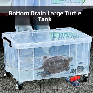 Drainage Capable Transparent Turtle Tank