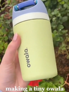 Owala FreeSip Stainless Steel Water Bottle Insulated 12oz cute Straw Leakproof Double Wall