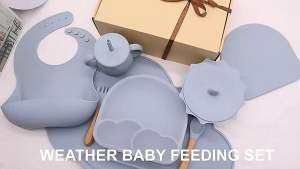 🇸🇬SG Ready Stock🇸🇬 Baby Toddler Silicone Suction Anti Slip Plate with Cover