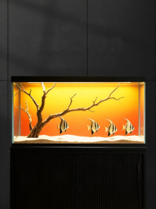 CHONGXIAOSHUAI | Smart RGBW Gradient Bright Aquarium Background Light
