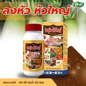 ลงหัว ห่อหัว หัวใหญ่ หัวแน่น เร่งลงหัว เพิ่มแป้ง น้ำหนักดี ไม่ทำให้ใบเหลือง สำหรับพืชลงหัว ปุ๋ยยา 250 ซีซี