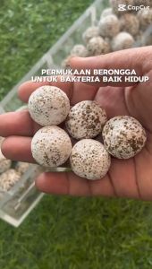 ITOSHI 20 KG 1 Guni Bio Sphere Large Bio Filter Ball Aquarium Bio Filter Media Ball Bacteria Ball