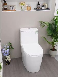 SSWW | Nắp Toilet Siphon Xoay 360° Siêu Tốc Cho Không Gian Nhỏ