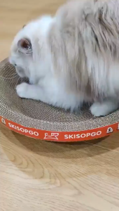 SKISOPGO Oval Cat Scratch Board for Big Cat Corrugated Durable Cat Scratch Toy Papan Calar Kucing 猫抓板