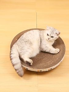 PET DIARY Mainan Papan Garukan Kucing Bundar Cakar Gerinda Tidak Menumpahkan Keripik Aksesori Hewan