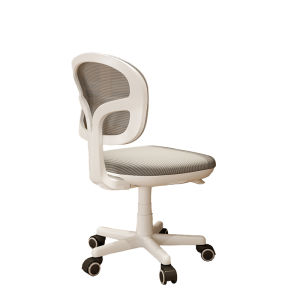 AIDESHENG | Student Dorm Ergonomic Office Chair