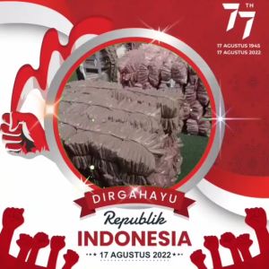 Setelan Wanita Kobex: Paket Hemat 3 in 1