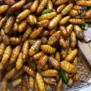 Yummy1988😋พร้อมส่ง💯 ดักแด้ทอด หนอนไหมทอด แมลงทอด