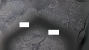 UAG iPhone 16 Pro Max Plyo MagSafe Bundle - Ice White/Titanium Stand