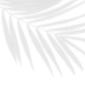 Sandal Wanita Kekinian 2024 & Hak 3cm