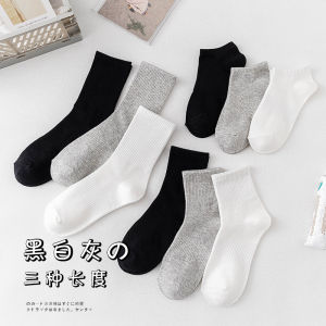 Spring and Summer Trend Cotton Socks