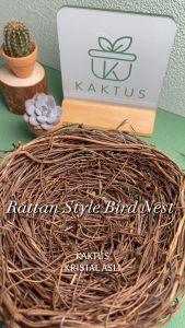 KAKTUS Kristal Container in Rattan Plant Style Natural Plant Stem Bird Nest Style