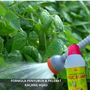Pupuk Untuk Tanaman Kacang Hijau / Obat Penyubur Kacang Hijau / Pupuk Pelebat Bunga Kacang Hijau