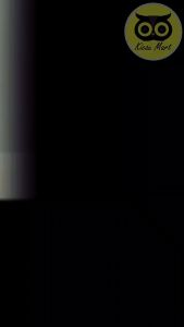 KICAU MART Vitamin Extra Fit Extrafit Benelur Obat Breeding Ternak Burung Kenari Murai Lovebird Kacer Perkutut Btbnlps