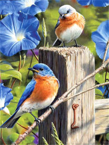 Oil Painting By Number Bird Pattern DIY Number Drawing Canvas Pictures By Numbers Home Decor Large Size