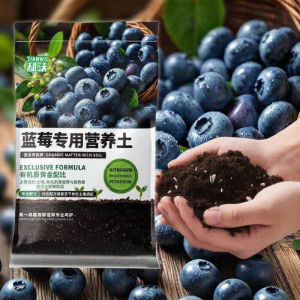 Blueberry Special Nutrient Rich Soil