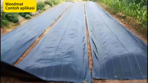 Earth Ground Cover Weed Preventer Weedmat Weed mat 90gsm Heavy duty Plastic Earth Cover