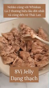 (ĐỦ 38 VỊ)(CÓ TEM NHẬP KHẨU)1 Hộp 12 Gói Pate Nekko pate Cho Mèo Gói 70g(HÀNG CHÍNH HÃNG THÔNG TIN NGUỒN GỐC ĐẦY ĐỦ)