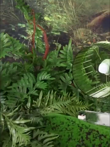 AP AIMAYAPET 21cm Transparent Silent Hamster Wheel with Adjustable Height Stand Mainan Hamster Small Pet Toy 仓鼠跑轮