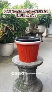 POT BUNGA TANAMAN BUDI JAYA PLASTIK ASTER 24 BAHAN TEBAL - BJP 24 ASTER