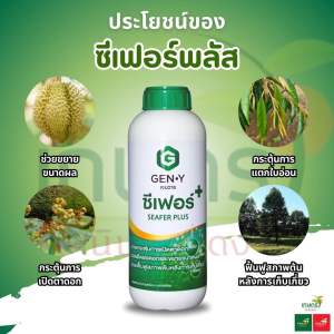 ซีเฟอร์พลัส+ สูตร X3 (สารสกัดสาหร่ายสีเขียวและกรดอะมิโนสกัดเย็นเข้มข้น) กระตุ้นการแตกใบอ่อน เปิดตาดอก ดอกดก ฟื้นฟูสภาพต้นหลังเก็บเกี่ยว