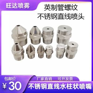 Stainless Steel 304 High Pressure Water Needle Straight Liquid Injection Type Sharp Tip Bullet Head Shape Spray Nozzle