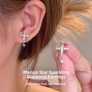 Sparkling Zircon Star Earrings S925 Silver