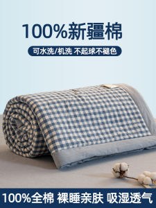 Cotton Summer Quilt Airable Cover Summer Blanket Pure Cotton Four-Piece Set Double Single Machine Washable Summer Thin Quilt Duvet Insert