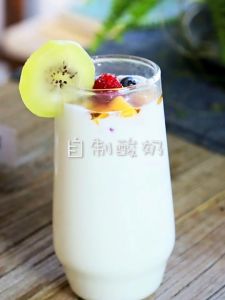 【Yogurt fermentation powder fermentation bacteria】川秀双歧杆菌酸奶发酵菌家用自制菌粉儿童酸奶益生菌发酵粉发酵剂