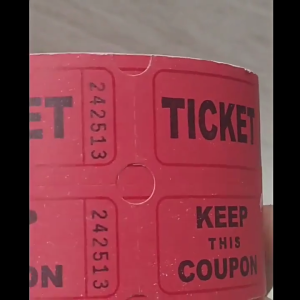 SHgeZm 1000Pcs Colorful Tearable Raffle Tickets Double Rolls Admission Ticket Game Ticket For Events Carnivals Entry Class Reward