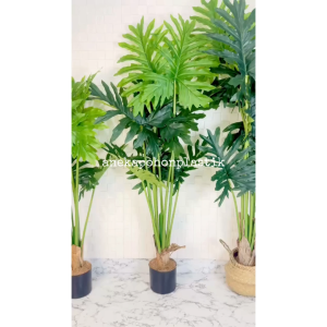 Pohon Hias Imitasi Daun Jari Jari Variasi T120 T140 T160 Latex + Cover Purun Belly Hiasan Rumah Cafe Dekorasi Sudut Ruangan