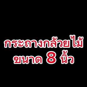 กระถางกล้วยไม้ ขนาด 8 นิ้ว กระเช้ากล้วยไม้ กระเช้า กระถางพลาสติก ดํา เกรด A