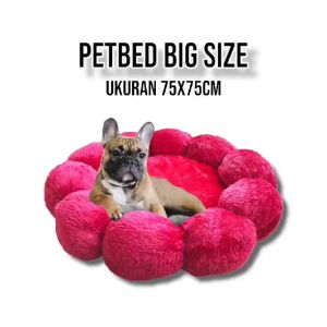 Tempat Tidur Hewan Peliharaan Praktis: Pilihan Terbaik untuk Anjing & Kucing