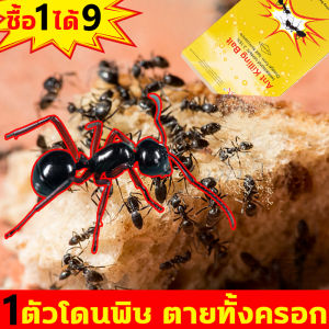 1 ตัวโดนพิษ ตายทั้งครอก ยาฆ่ามด ยกรัง กำจัดมด ยาฆ่าแมลง อุปกรณ์แมลงก็ตาม โปรมาแมลงก์ปกติ ผงกำจัดมด ผงฆ่ามด เจลกำจัดมด เหยื่อกำจัดมด ผงฆ่ามดยกรัง