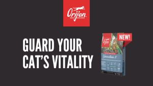 Orijen Guardian 8 Chicken Salmon Rabbit Formula Grain Free Adult Cat Food 1.8KG