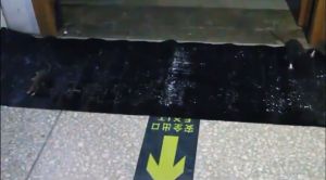 Small/Large Mouse rat Sticky Mice Rodent Glue Board Bait Trap Snake Bugs Catcher Big Size