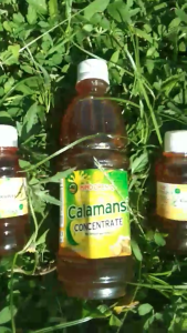 Calamansi Concentrate Mindoren- C Organic Natural Juice Original with Honey and Ginger Pure Extract Honey Ginger