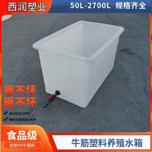 Thickened Plastic Rectangular Aquarium Textile Box Fish Farming Tray Shallow Container Storage Box for Outdoor Use