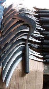 ARIT SABIT RUMPUT- COD BAYAR DITEMPAT